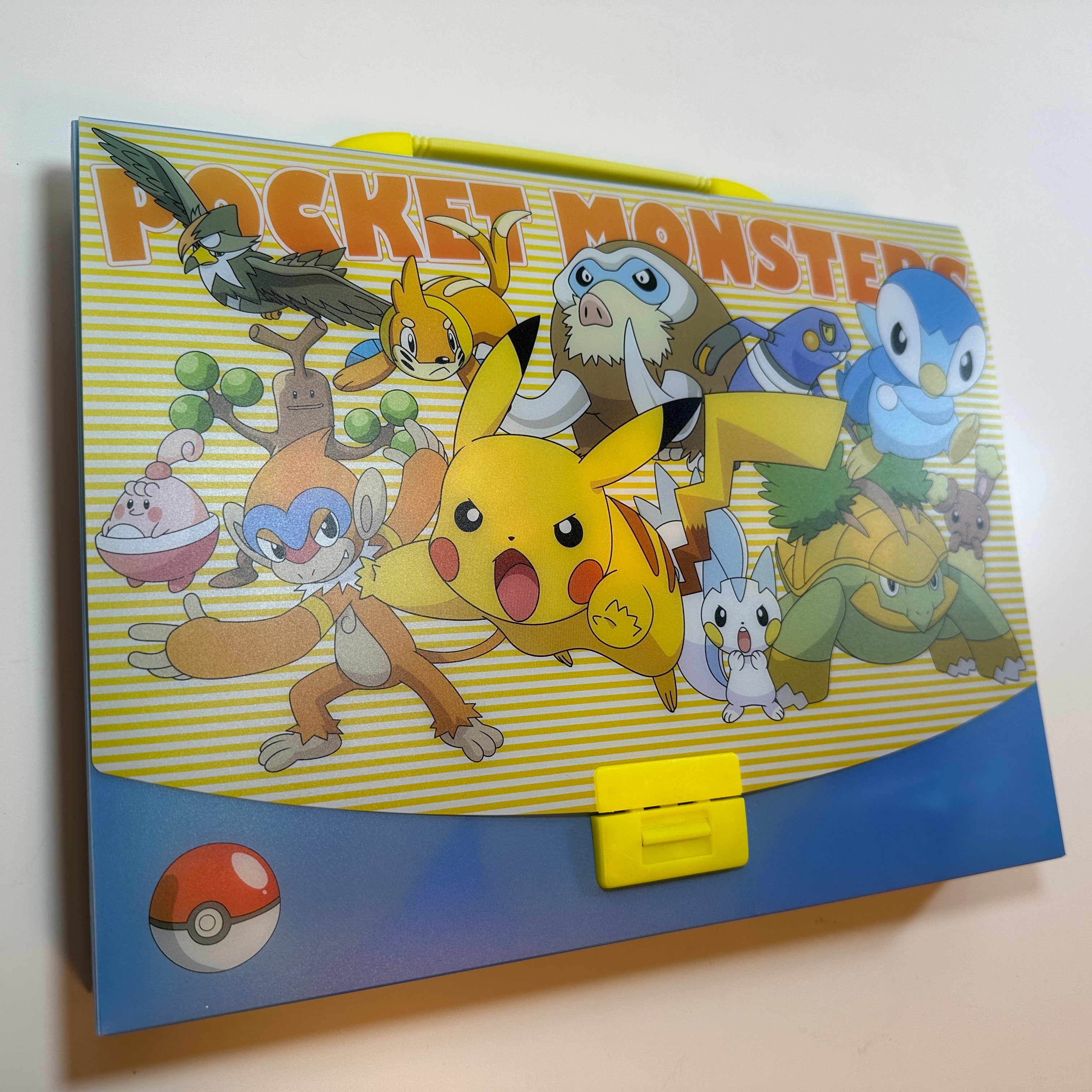 Pokémon Carrying Case & Towel