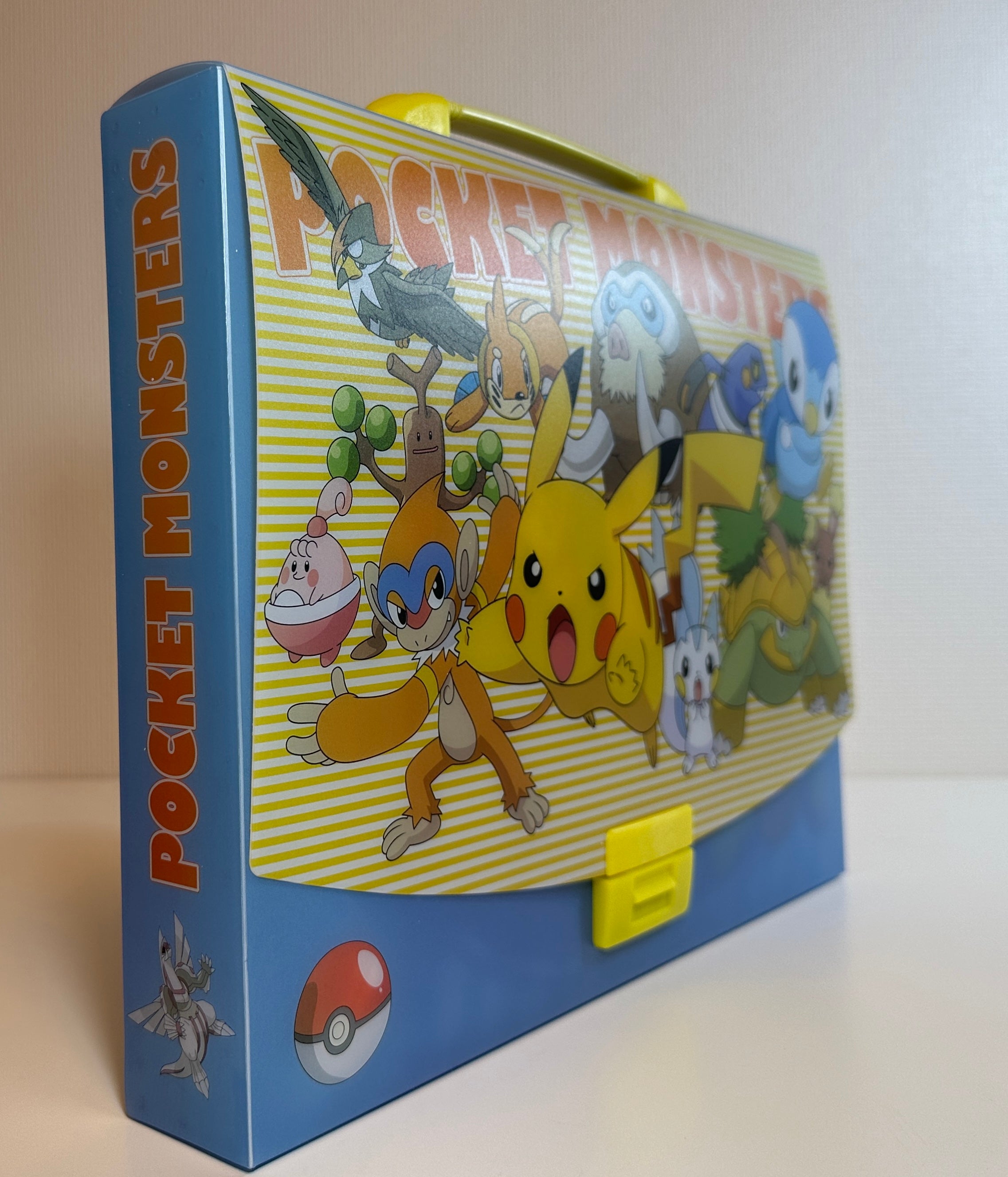 Pokémon Carrying Case & Towel