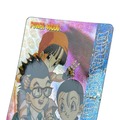 Dragon Ball GT Pan Gohan Videl Family Holographic Card 1996 Amada Prism Rare Japanese Anime Collectible