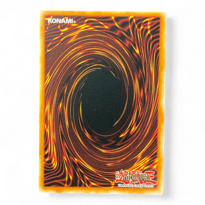 Yu-Gi-Oh! Dark Renewal Secret Rare Limited Edition YGLD-ENB00 Card