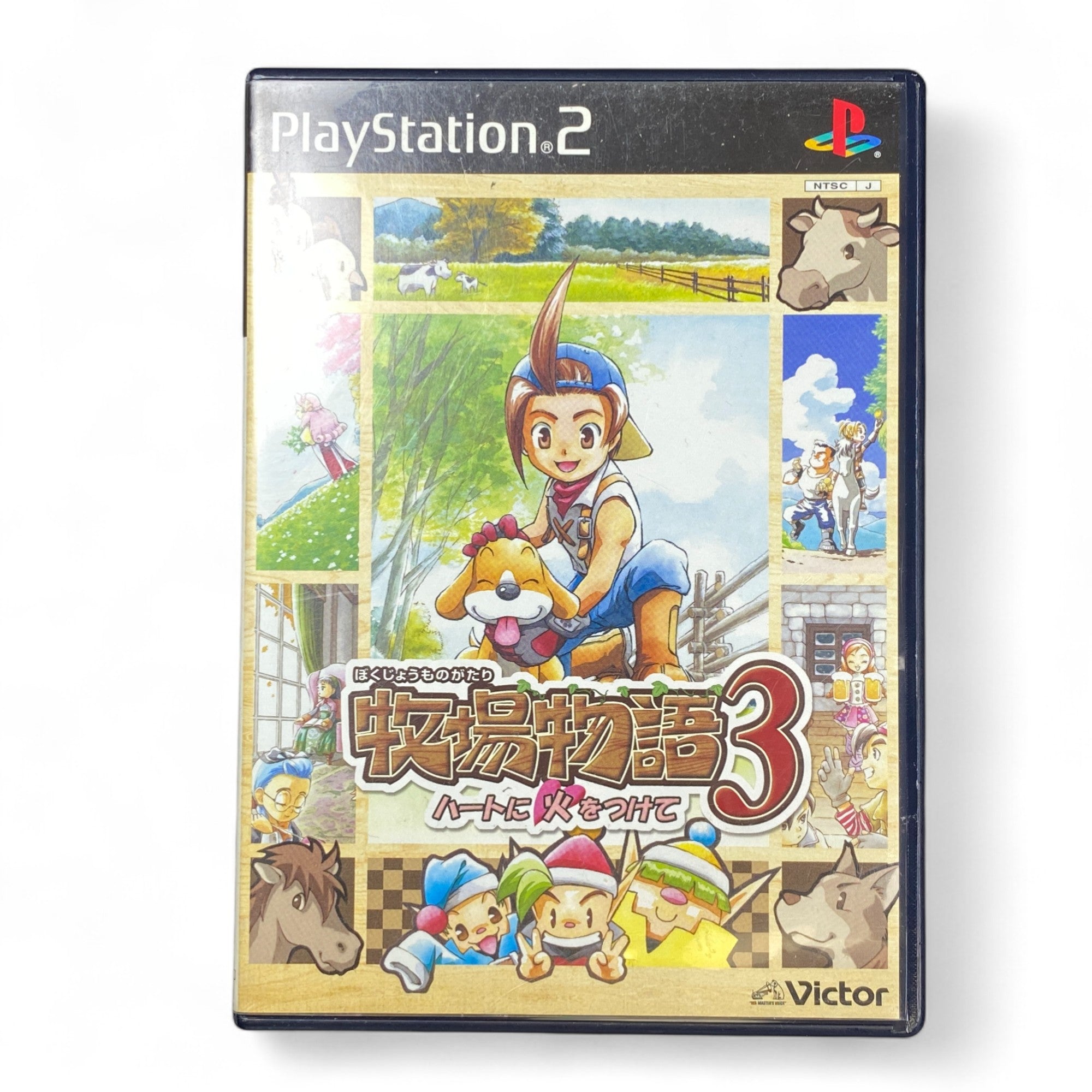 Bokujou Monogatari 3 PS2 Japanese Game