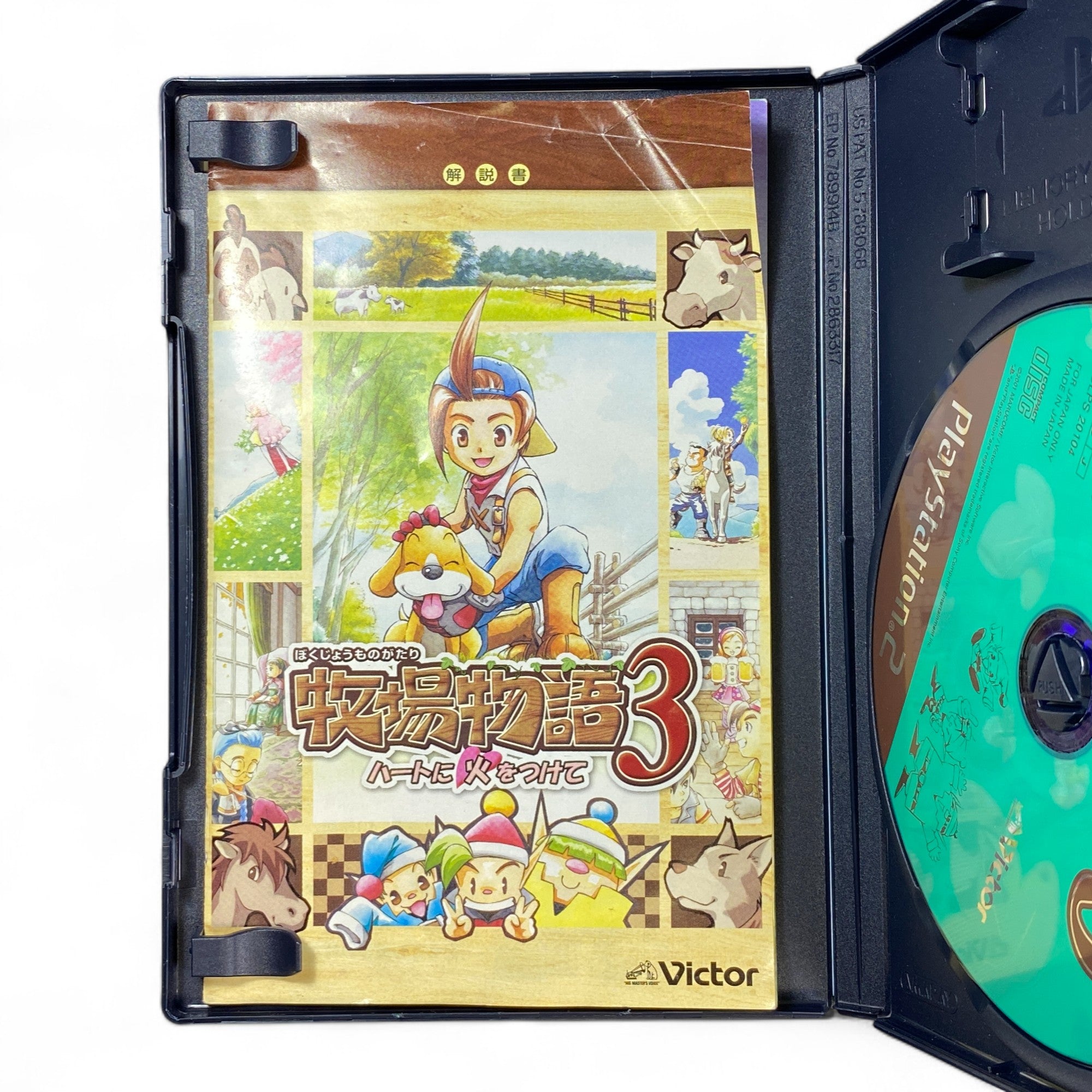 Bokujou Monogatari 3 PS2 Japanese Game