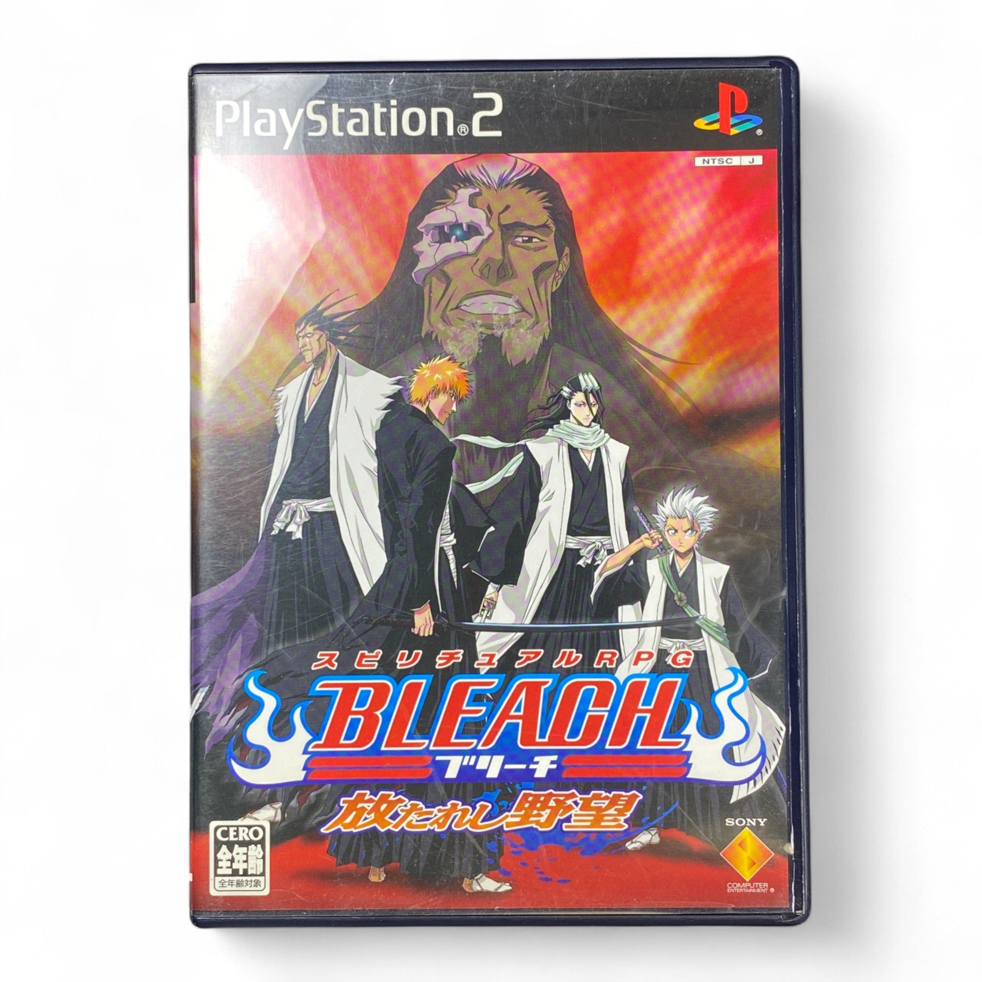 Bleach Hanatareru Kyoui PS2 Japanese Anime RPG Game