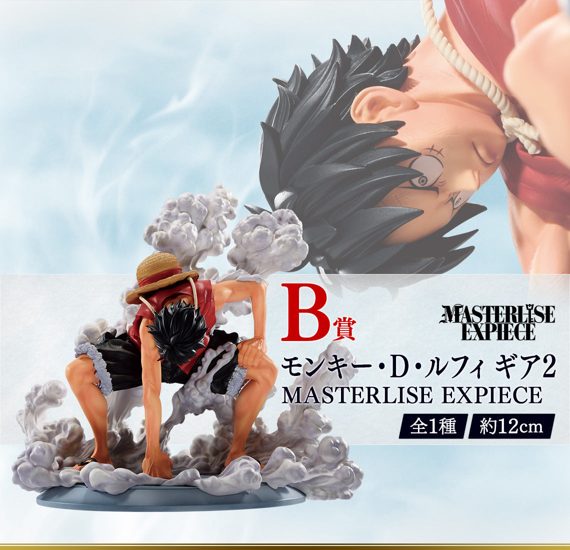 One Piece 25th Anniversary Figure