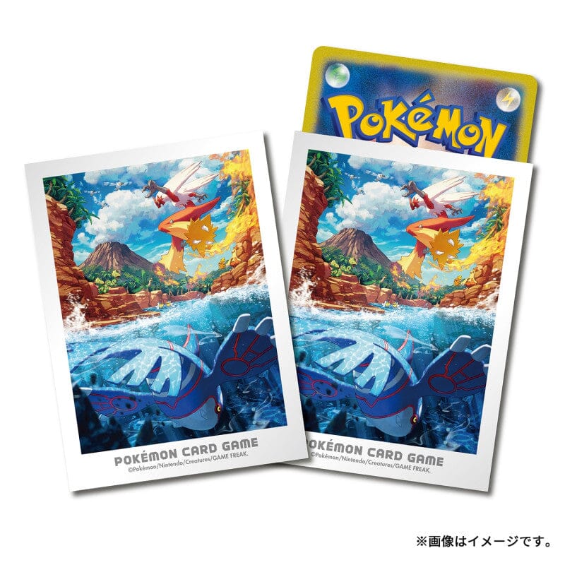 Pokémon TCG Hoenn's Adventure Card Sleeves