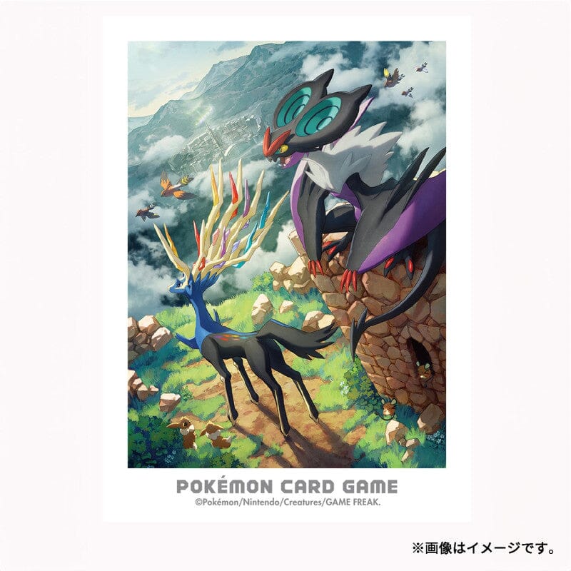 Pokémon Card Sleeves: Xerneas & Noivern