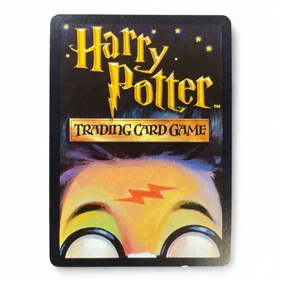 Harry Potter Rubeus Hagrid trading card English 18/116 2001 Wizards

