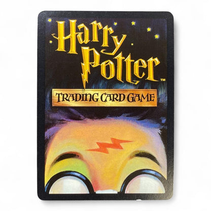 Harry Potter Rubeus Hagrid trading card English 18/116 2001 Wizards

