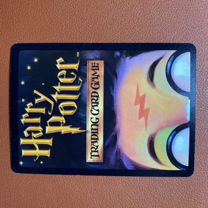 Harry Potter Dean Thomas Japanese trading card 17/116 2001 Wizards

