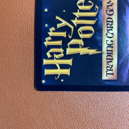 Harry Potter Giant Chess Game Japanese trading card 11/116 2001 Wizards

