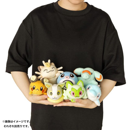 Phanpy Washable Japanese Plush